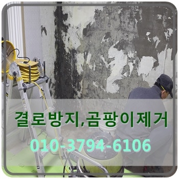 동두천 곰팡이 제거 업체 관련 이미지 3