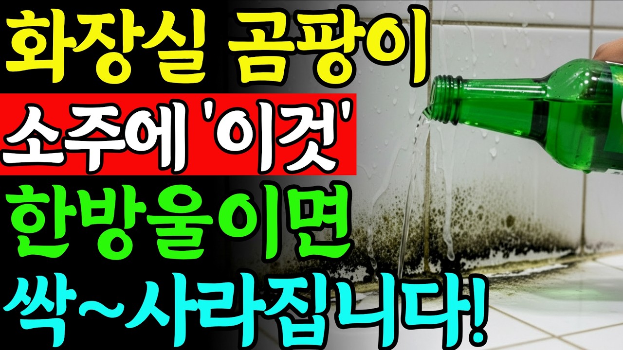 욕실 실리콘 곰팡이 제거 꿀팁 관련 이미지 1