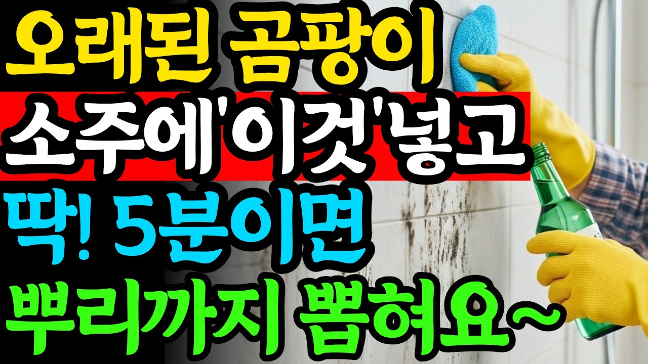 욕실 실리콘 곰팡이 제거 꿀팁 관련 이미지 2
