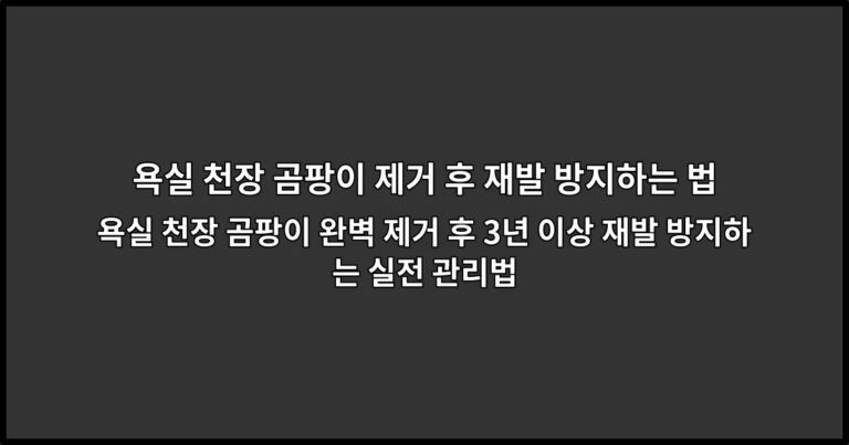 욕실 천장 곰팡이 완벽 제거 후 3년 이상 재발 방지하는 실전 관리법