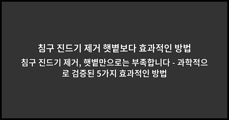 침구 진드기 제거, 햇볕만으로는 부족합니다 – 과학적으로 검증된 5가지 효과적인 방법