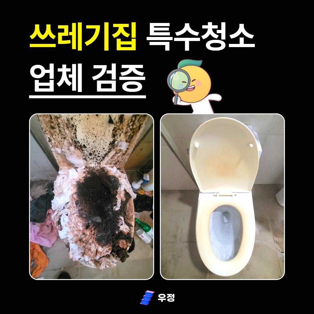 충남 특수청소 업체 관련 이미지 2