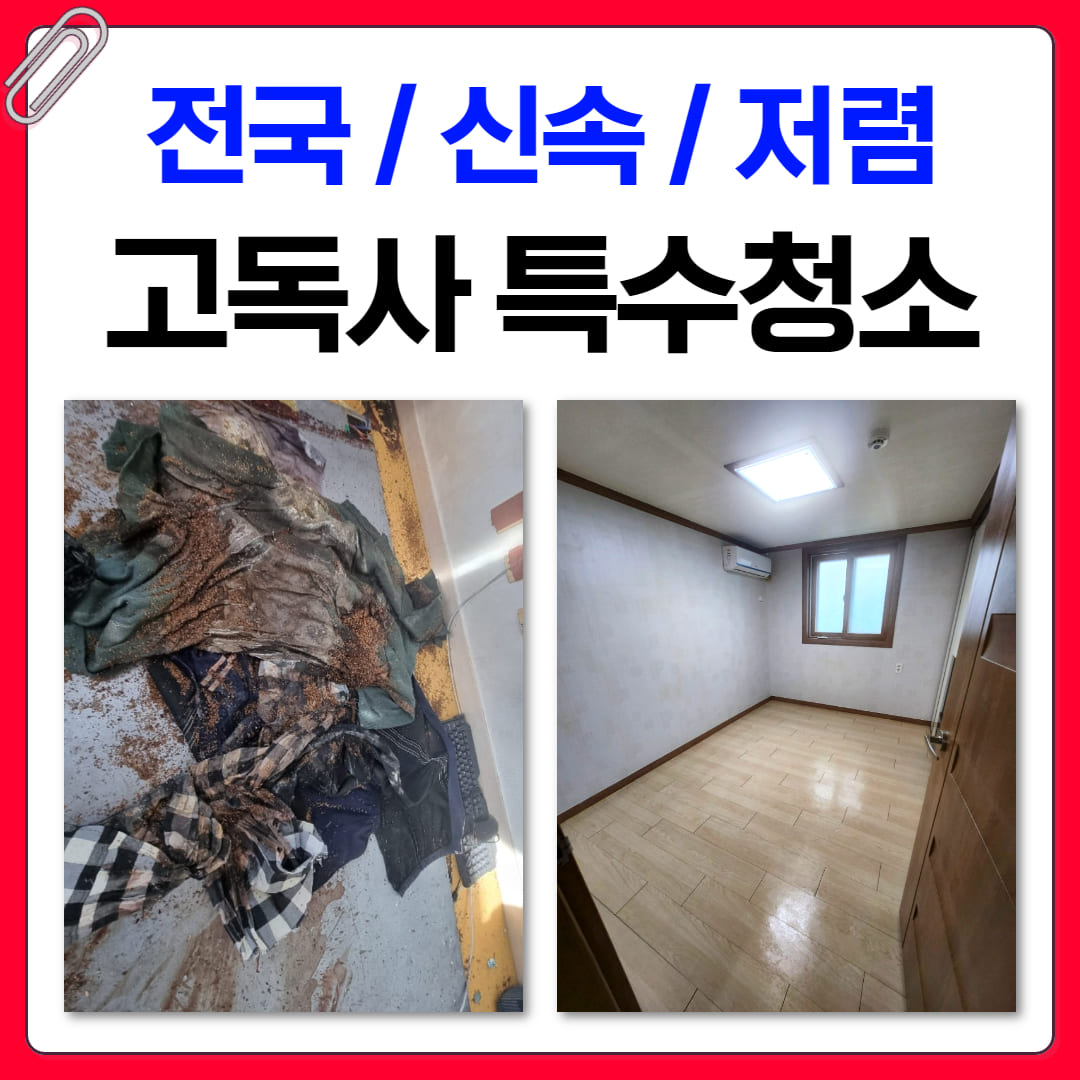 충남 특수청소 업체 관련 이미지 3